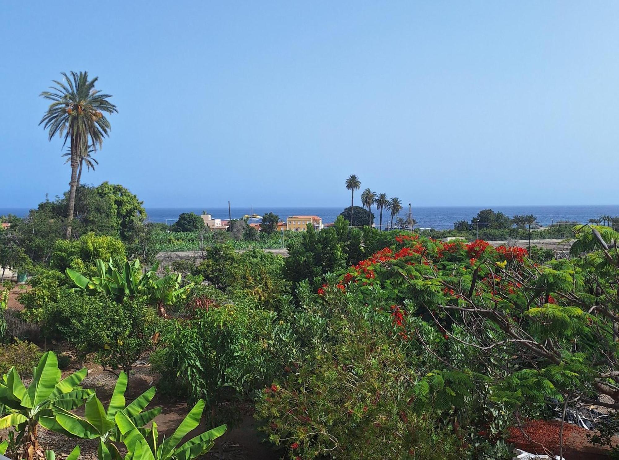 Apartamentos Bellavista Gomera ปลายา เด ซานเตียโก ภายนอก รูปภาพ